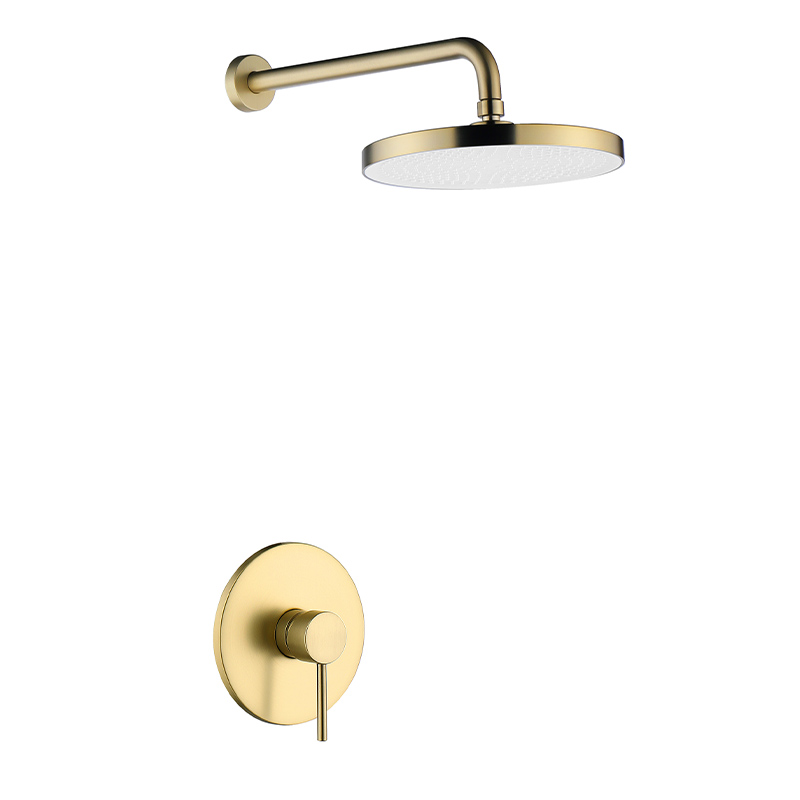 Concealed Valve Shower Set
