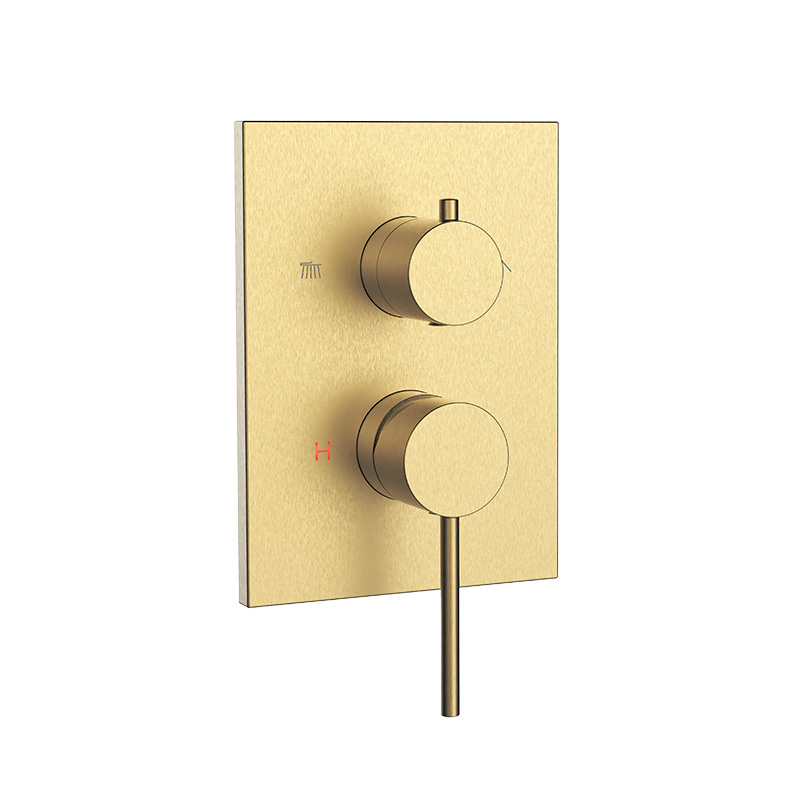 Brass Concealed Shower Set