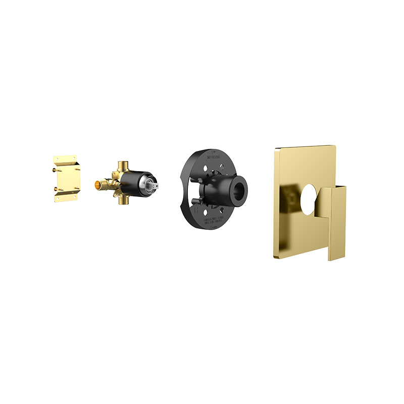 Twin Outlet Concealed Shower Valve