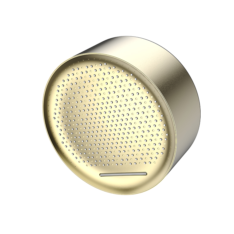 Four-Function Constant Temperature Shower Set
