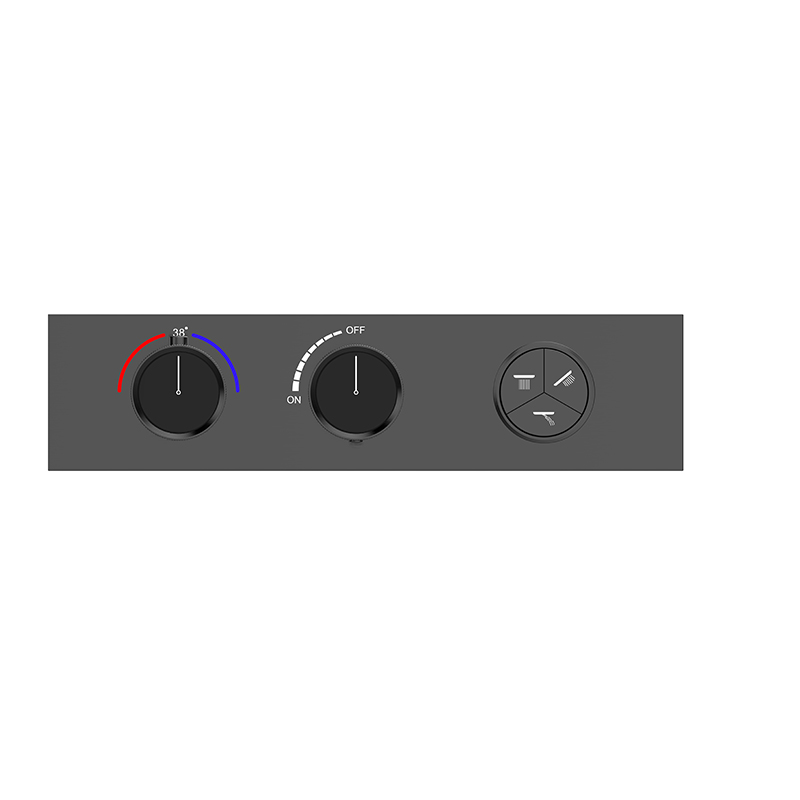 Three-Function Constant Temperature Shower System