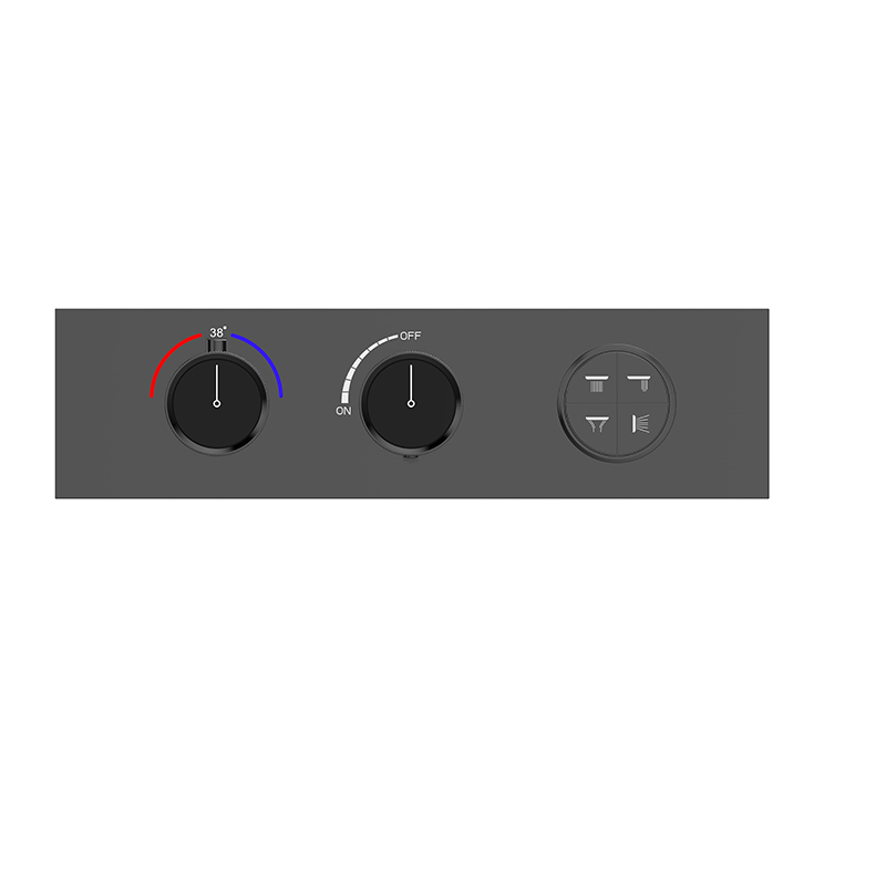 Four-Function Constant Temperature Shower System