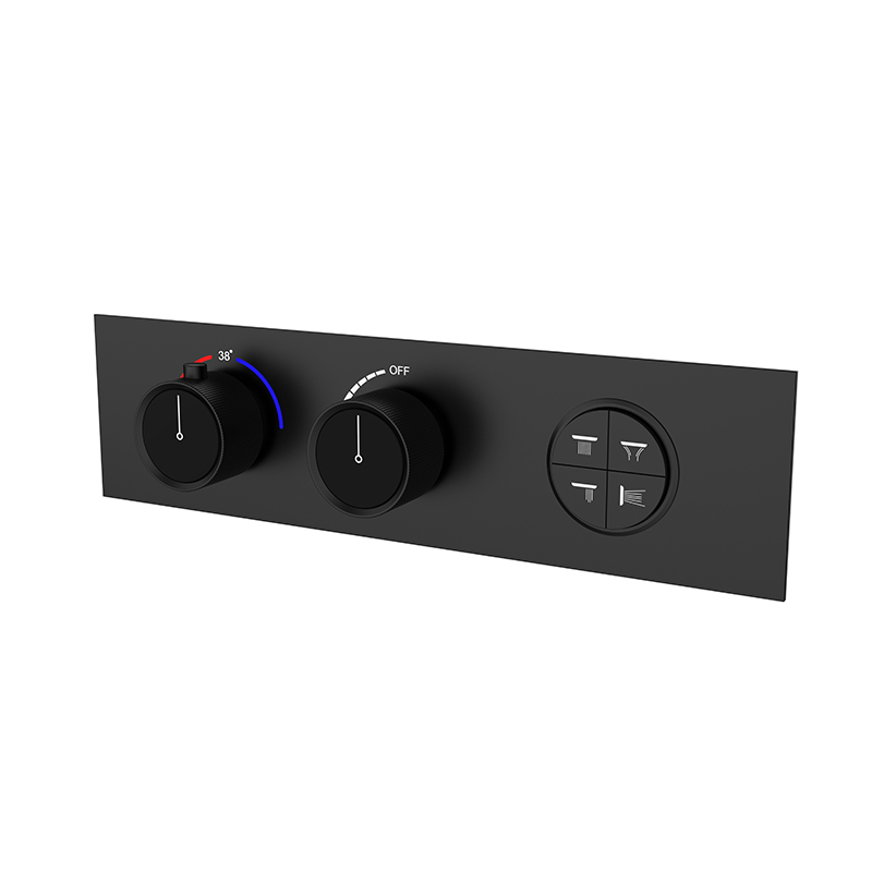 Four-Function Constant Temperature Shower System