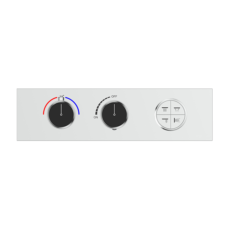 Four-Function Constant Temperature Shower System