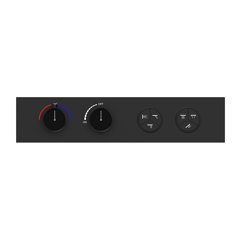 Six-Function Constant Temperature Shower System