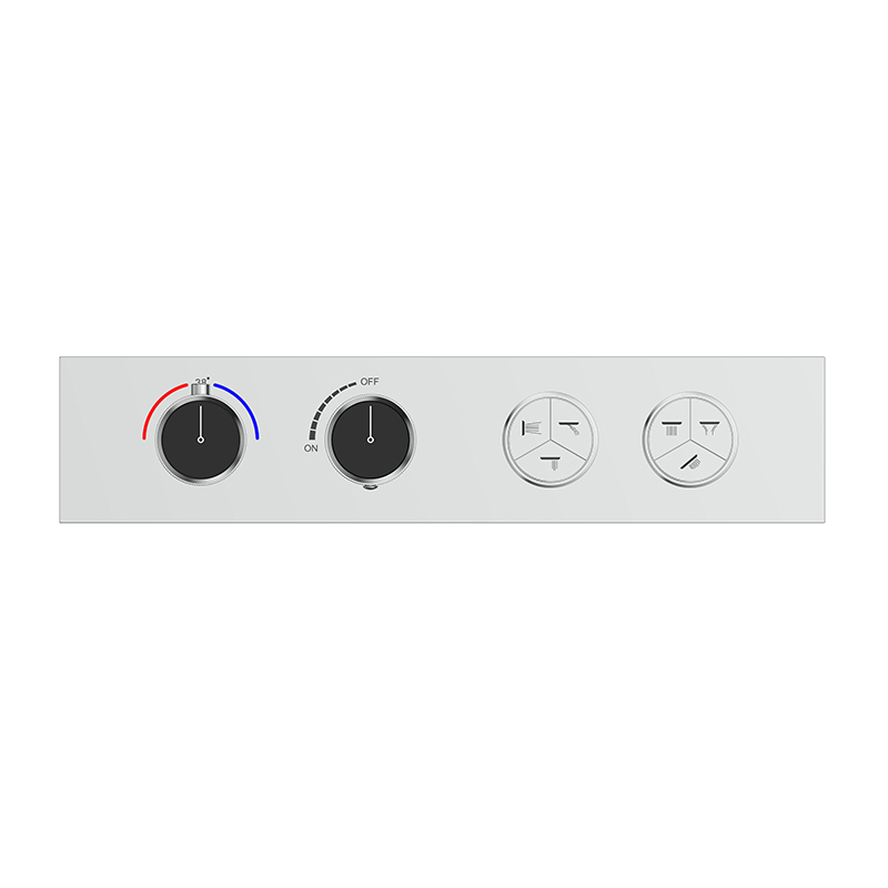 Six-Function Constant Temperature Shower System