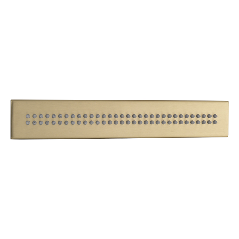 Four-Function Constant Temperature Shower Head