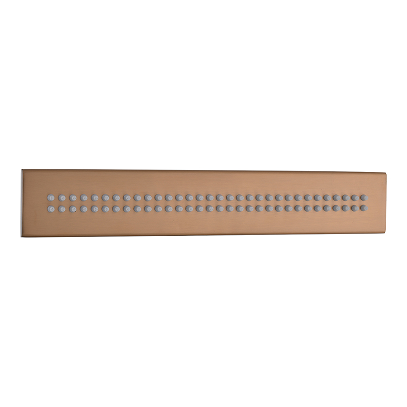 Four-Function Constant Temperature Shower Head
