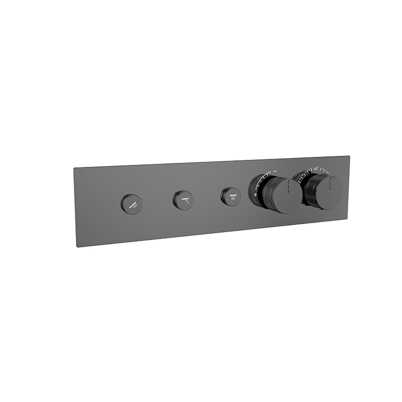 Black Thermostatic Shower Concealed