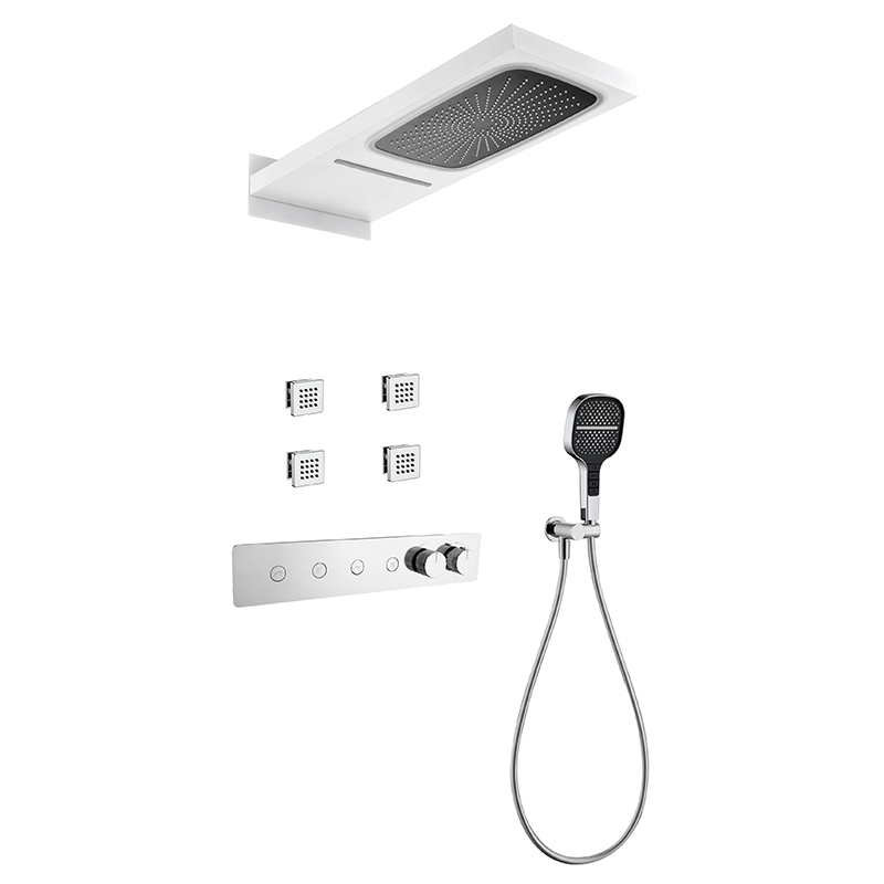Black Concealed Shower