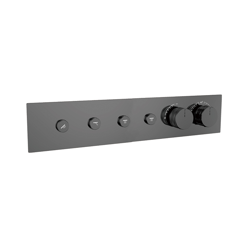 Black Concealed Shower