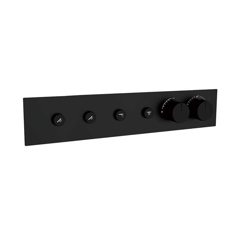 Black Concealed Shower
