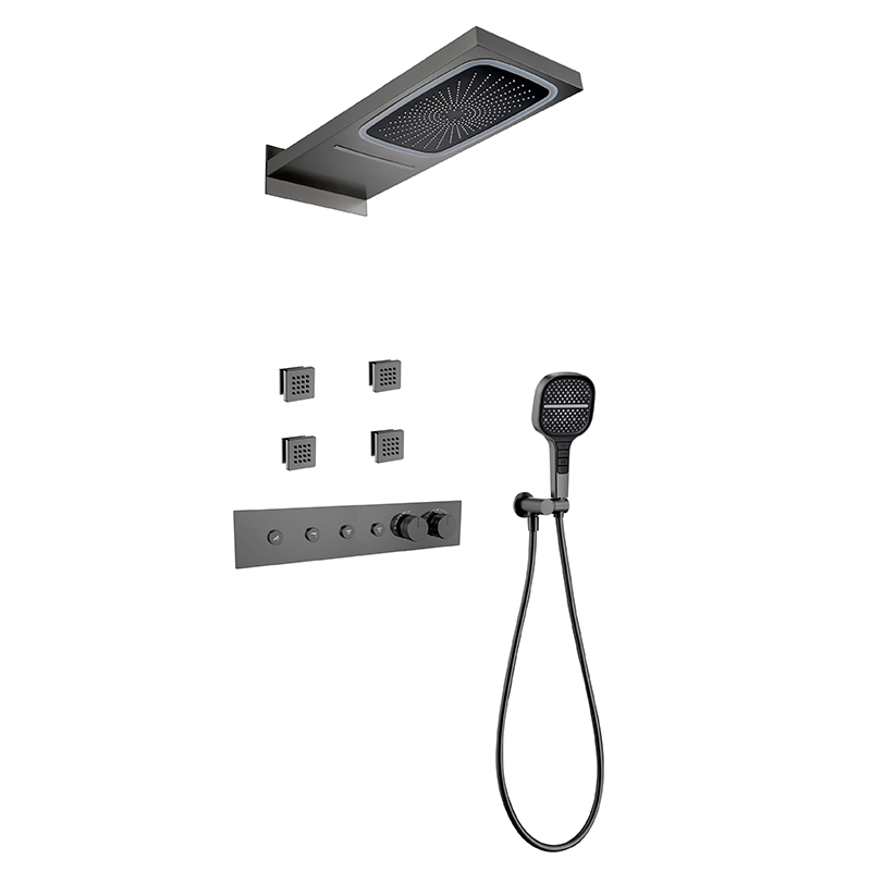 Black Concealed Shower