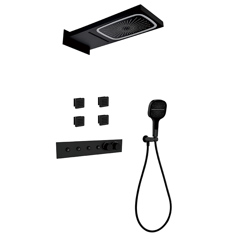 Black Concealed Shower