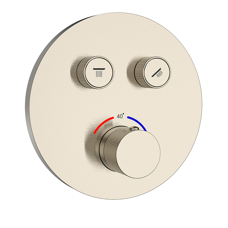 Concealed Thermostatic Shower