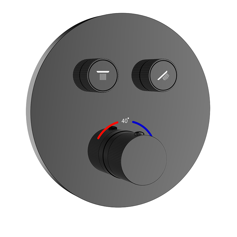 Concealed Thermostatic Shower