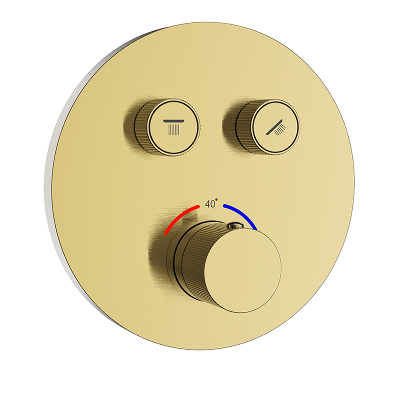 Concealed Thermostatic Shower