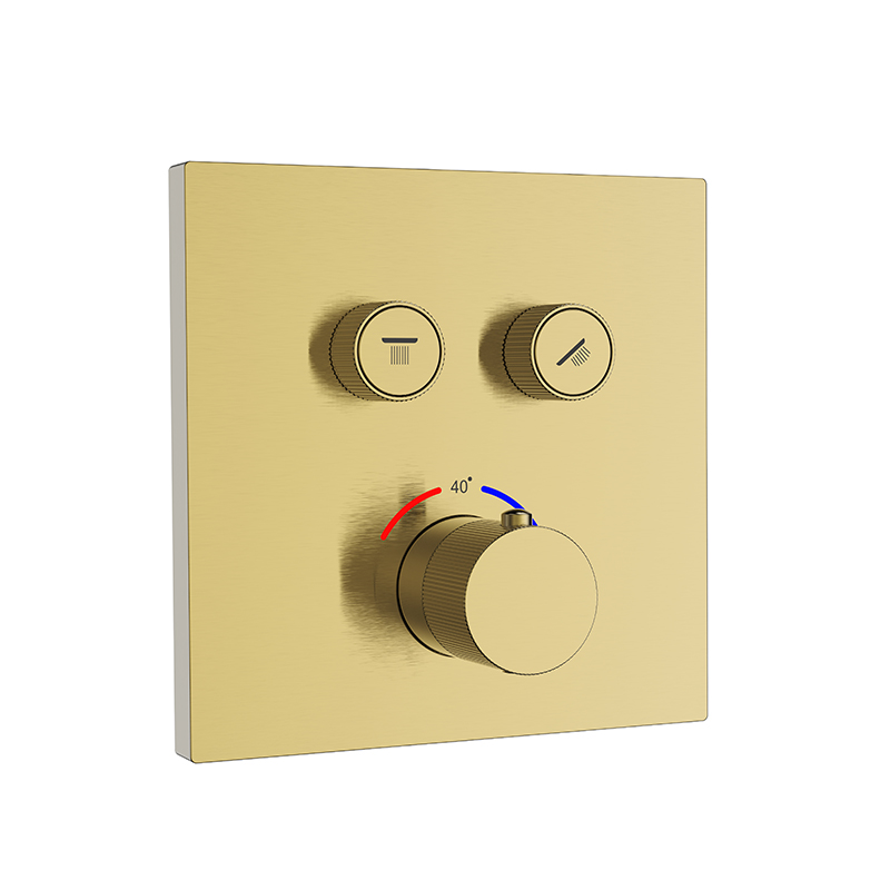 Brushed Brass Concealed Shower