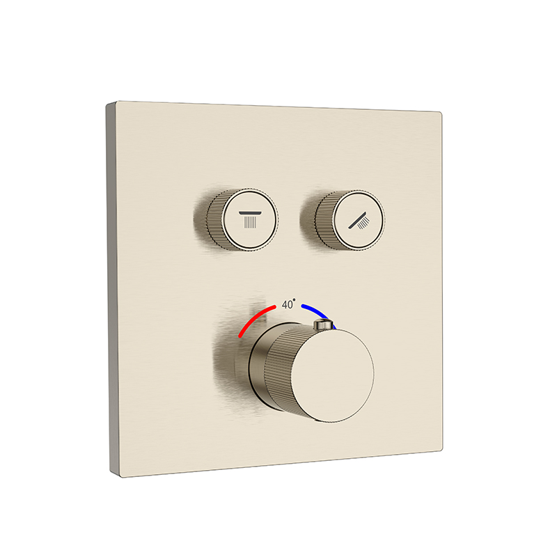 Brushed Brass Concealed Shower