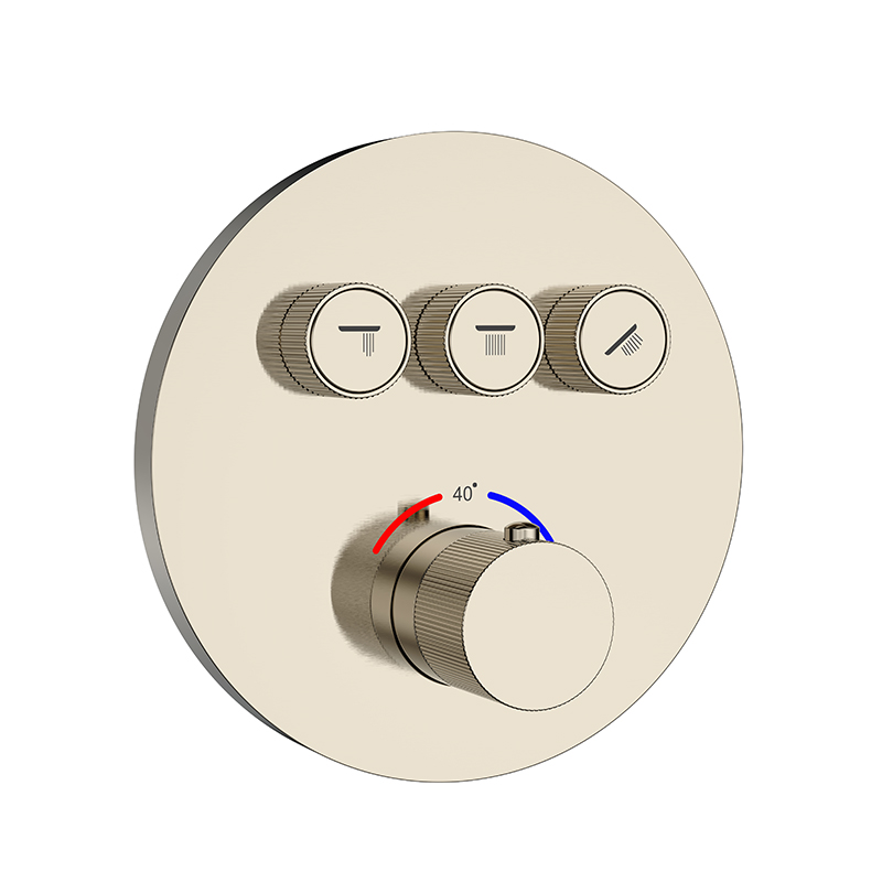 Brass Concealed Shower