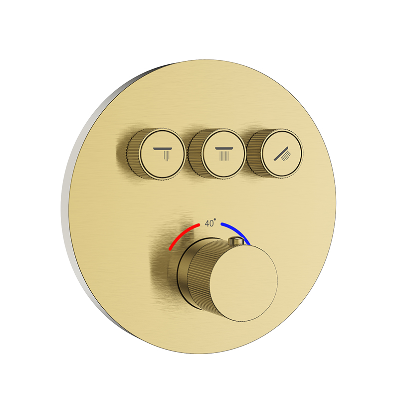 Brass Concealed Shower