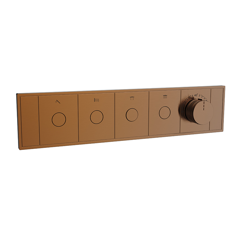 Gold Concealed Shower
