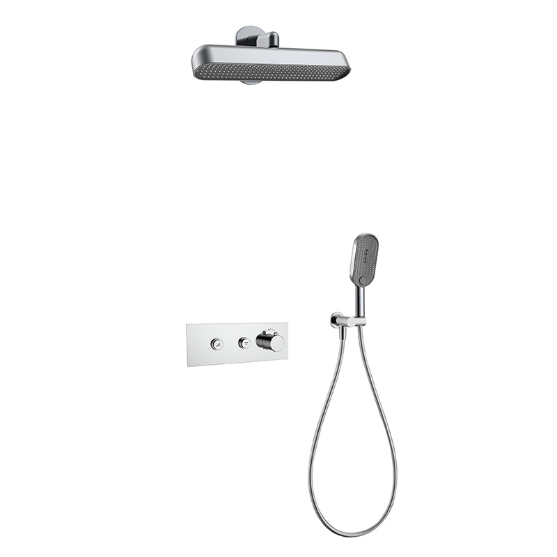2 Way Concealed Shower