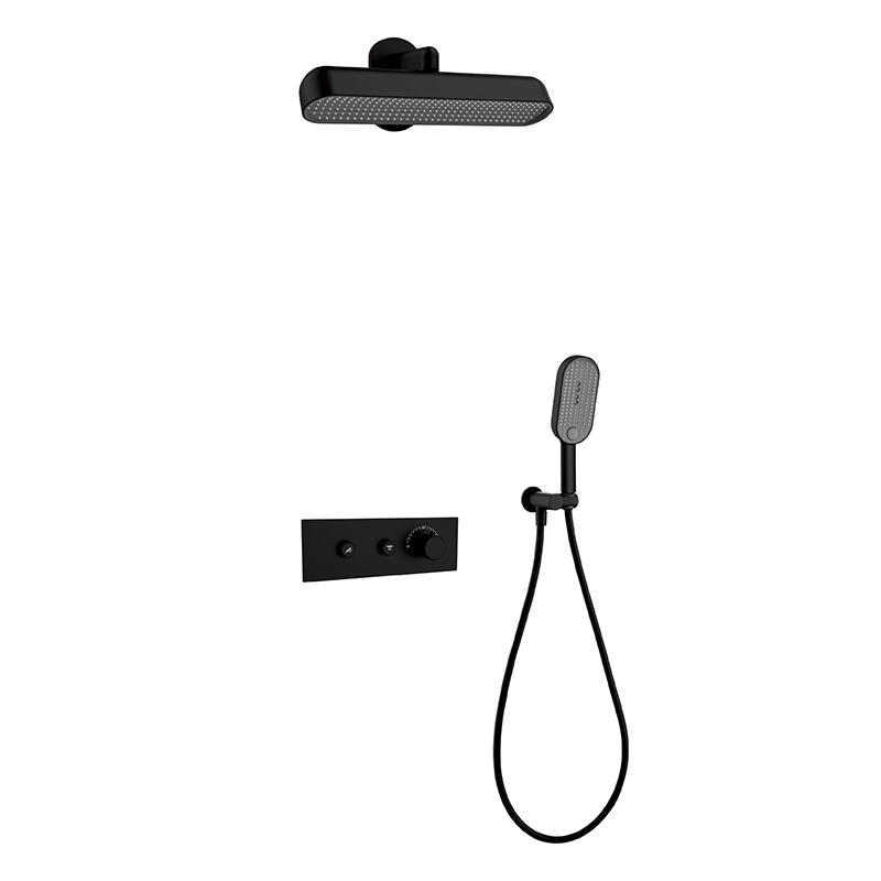 2 Way Concealed Shower