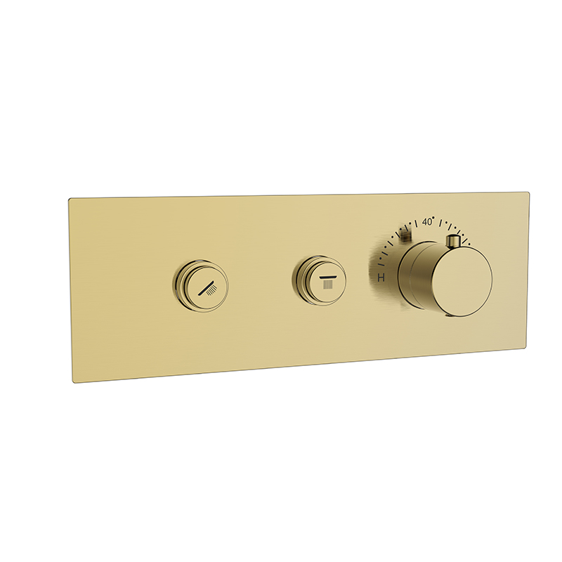 2 Way Concealed Shower