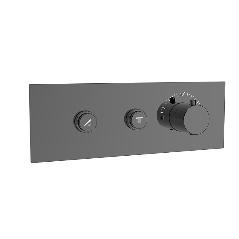 2 Way Concealed Shower