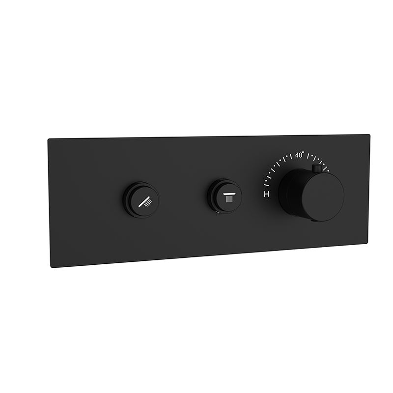 2 Way Concealed Shower