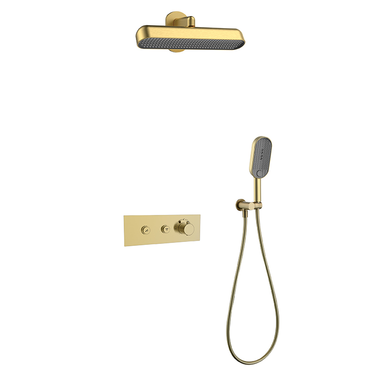2 Way Concealed Shower