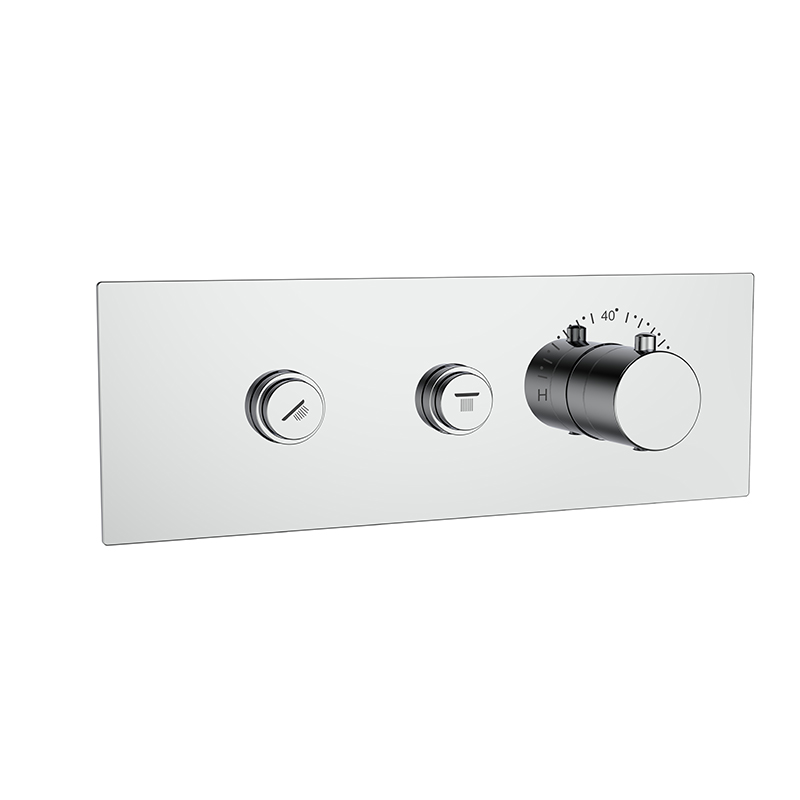 2 Way Concealed Shower