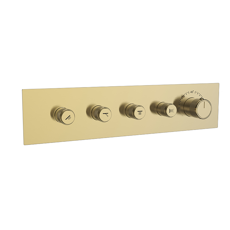 Concealed Wall Shower